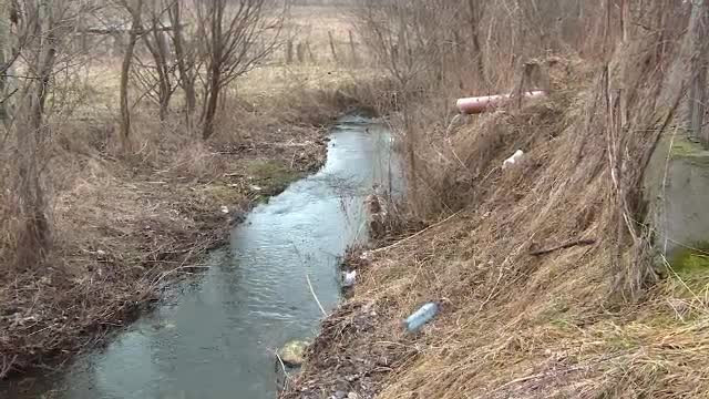 Statii de epurare, verificate de Garda de Mediu. Unui localnic i-au murit caprele dupa ce au baut apa dintr-un parau