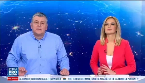 O pisica a ramas blocata timp de 3 zile intr-un copac, in Baia Mare. Cum a decurs operatiunea de salvare