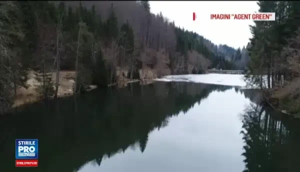 Activistii Agent Green acuza defrisari masive cu ajutorul autoritatilor in zona barajului Vidraru. Reactia Romsilva