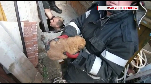 Operatiune anevoioasa de salvare a unui pui de caine cazut intr-o hazna. Cum l-au scos la suprafata pompierii din Constanta