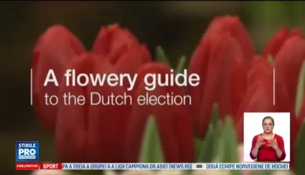 Europa sta cu ochii pe alegerile parlamentare din Olanda. Cine este candidatul nationalist si anti islam si UE