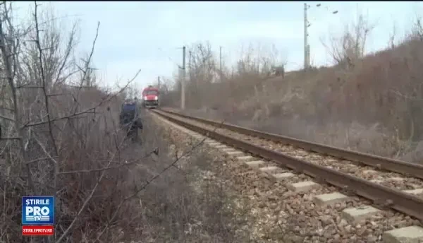 Un batran din Gorj a fost lovit de tren in timp ce traversa calea ferata cu caprele. De ce a nu a auzit locomotiva