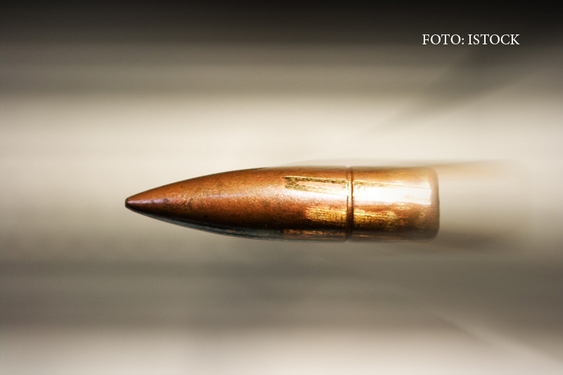 Tragedie sinistra in Iasi. Un barbat a vrut sa impuste un porc, insa a ucis din greseala o alta persoana