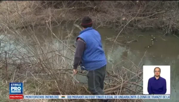 Poluare pe un afluent al Oltului din judetul Dolj. Ce au vrut localnicii sa faca cu pestii morti culesi din rau