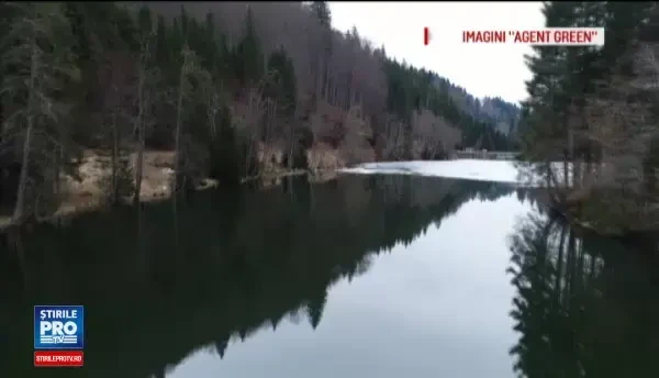 200 de oameni de stiinta masuri urgente pentru protejarea padurilor din Romania. Imagini revoltatoare, filmate din drona