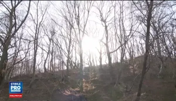 Dealul Bucium se scurge spre Autostrada Sibiu-Orastie din cauza defrisarilor. Explicatia gasita de Ocolul Silvic