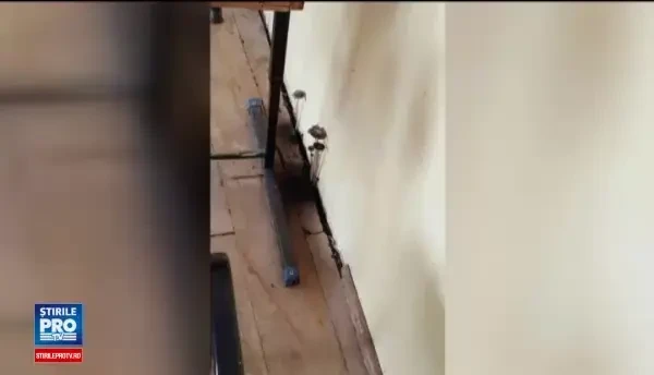 Directorul unui liceu din Constanta, amendat cu 1.000 de lei dupa ce intr-o clasa au aparut ciuperci pe un perete. FOTO