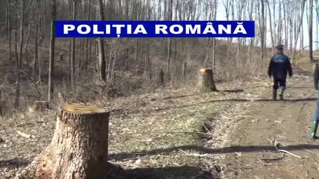 defrisari in Galati