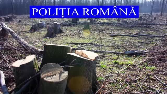 defrisari in Galati
