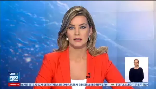 Padurile Romaniei dispar hectar dupa hectar! Peisaj dezolant in judetul Galati, din cauza taierilor necontrolate