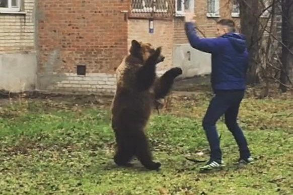 Un rus si-a scos ursul la plimbare in fata blocului in week-end. Acuzatia bizara pe care i-o aduc acum autoritatile