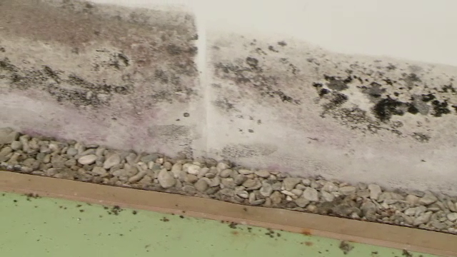 Centrul Expozitional Moldova