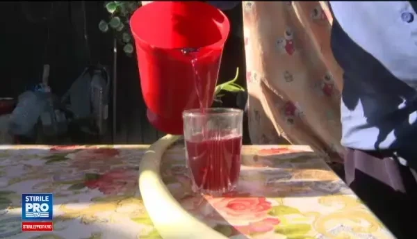 Parlamentul a votat ca 21 martie sa fie Ziua Olteniei. Profesor de istorie: Ei s-au considerat tot timpul mai aparte