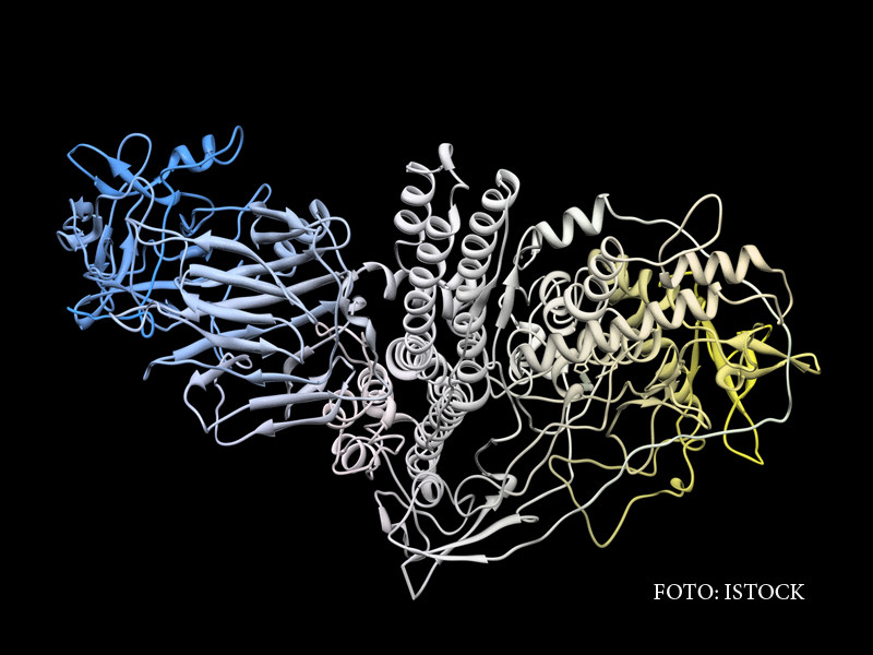 Un copil a ajuns la spital cu botulism dupa a mancat pomana primita la biserica. Este cea mai periculosa toxina din natura