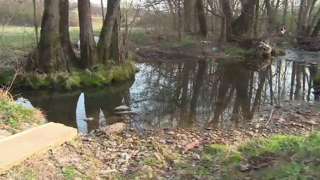 Un copil de 1 an si 8 luni din Gorj a murit inecat in paraul din apropierea casei. Baietelul fusese lasat in grija bunicilor