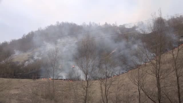 Hectare intregi mistuite de flacari in judetul Maramures. Ce sfaturi le dau pompierii localnicilor