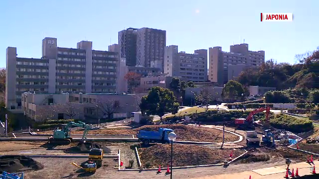 universitate Japonia