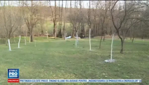 Un copil de 1,8 ani, din Gorj, a murit inecat in paraul din apropierea casei. Baietelul fusese lasat in grija bunicilor