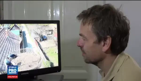 Berzele au inceput sa soseasca in Dumbravioara, satul cunoscut pentru acest lucru