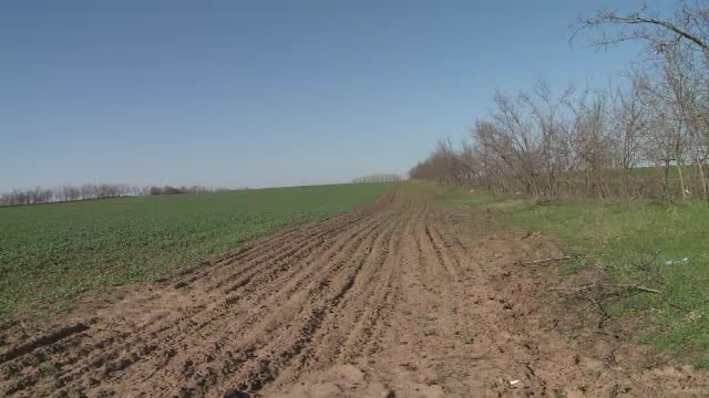 Un judet din sudul Romaniei se transforma rapid in deşert. Autoritatile planteaza copaci, dar se usuca in cateva luni