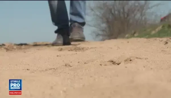 Procesul de desertificare dintr-un judet s-a intensificat in ultimii ani. Masurile luate de autoritati