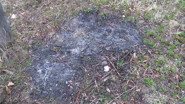 Batran de 82 de ani, gasit carbonizat in livada cu pruni. Ce au declarat vecinii barbatului despre modul in care a decedat