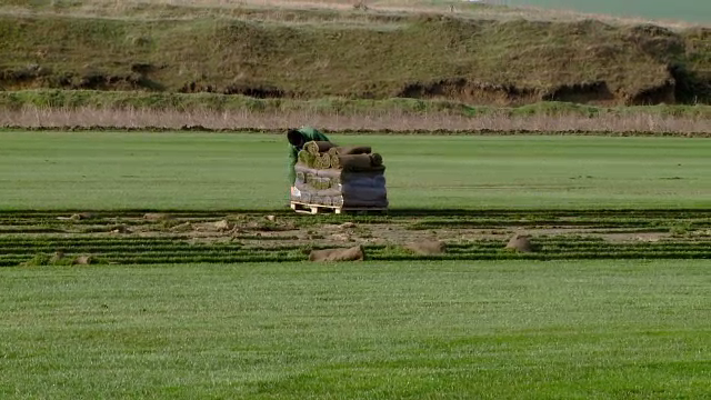 Fermele de gazon, afaceri tot mai profitabile de la an la an. Cat castiga un proprietar din 18 hectare de rulouri
