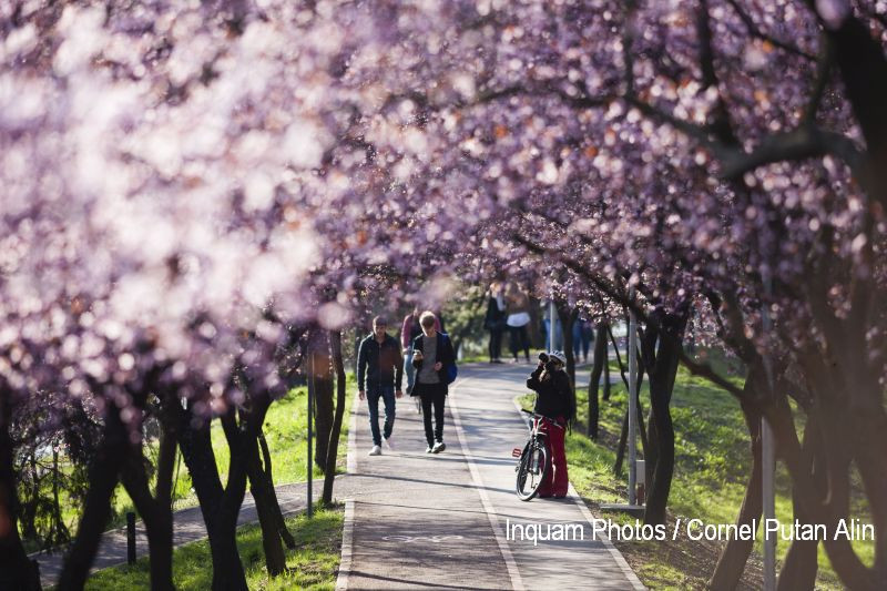 19 grade in Capitala, ploi si vant puternic la munte. Prognoza meteo pentru urmatoarele trei zile