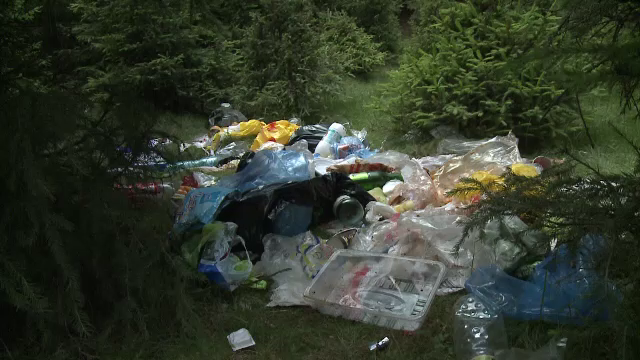 Deputatii din Comisia de Mediu au votat un amendament. Ce sanctiuni vor primi cei care lasa deseuri in padure