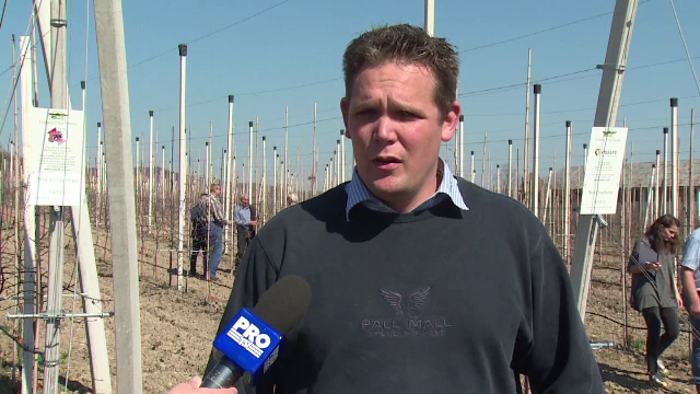 Care este fructul "minune" considerat prea scump in Romania: "Din pacate cererea pe piata interna este aproape nula"