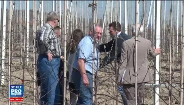 Din pacate cererea pe piata interna este aproape nula. Care este fructul minune considerat prea scump in Romania