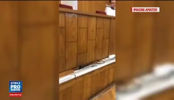 Scandal in sectorul 4 al Capitalei, unde soferii care parcheaza pe trotuare sunt deja amendati. Nu avem nicio parcare aici!