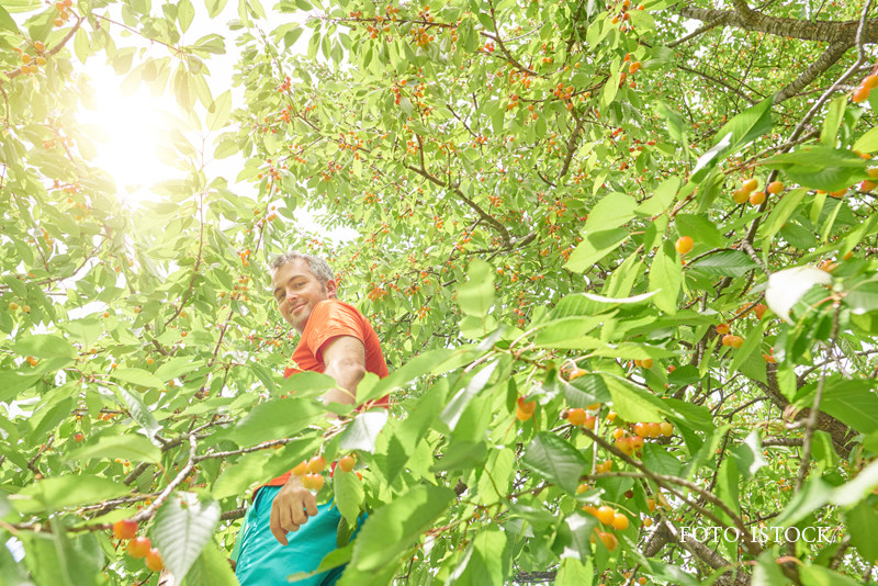 Fructele si legumele pot fi TOXICE din cauza chimicalelor cu care sunt stropite. Micii producatori nu sunt controlati