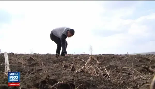 Tot mai multi romani vor sa isi deschida ferme cu ajutor de la stat. Suma uriasa pe care o poate obtine un fermier