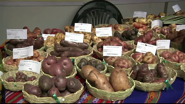 O echipa de cercetatori din Peru a reusit sa creasca un cartof in conditii asemanatoare celor de pe Marte