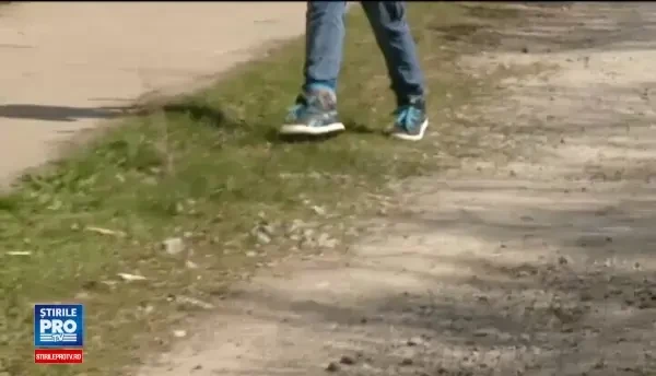 Un copil de 8 ani se zbate intre viata si moarte, dupa ce a fost atacat de caini in timp ce voia sa isi recupereze mingea