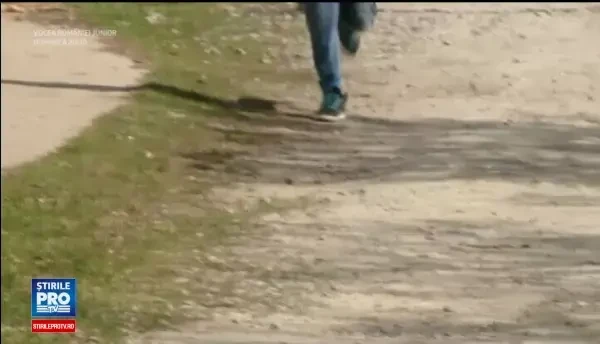 Un copil de 8 ani se zbate intre viata si moarte, dupa ce a fost atacat de caini in timp ce voia sa isi recupereze mingea