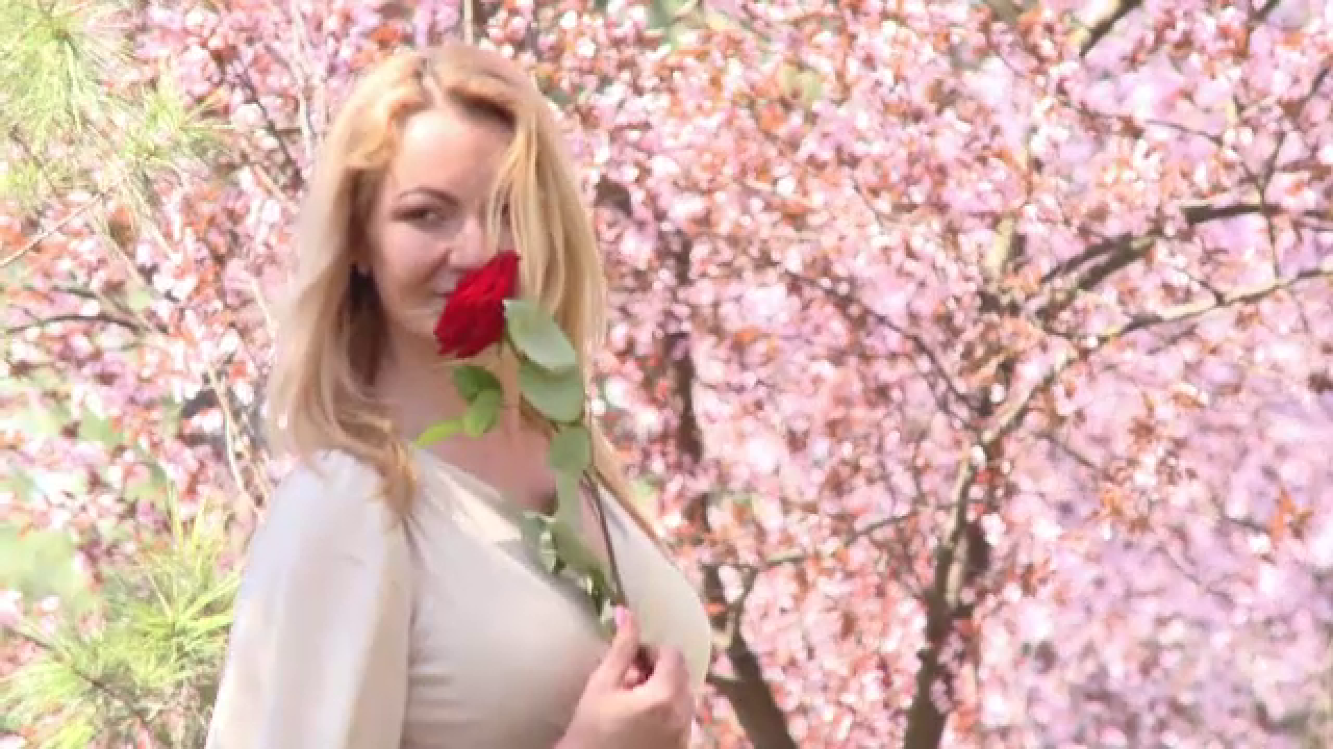 "Tunelul Iubirii" din Timisoara. Locul unde zeci de cupluri se strang pentru a face poze de Facebook in aceasta primavara