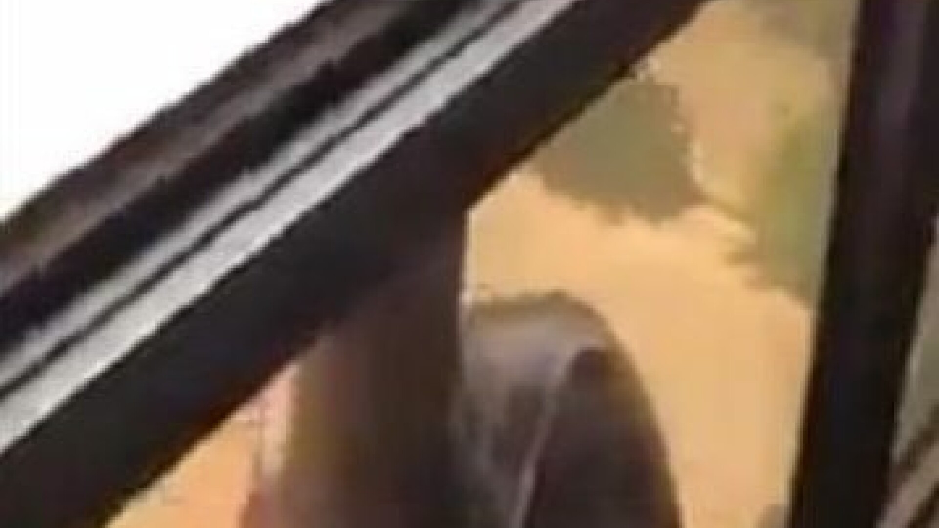 Femeie din Kuweit arestata pentru ca si-a filmat menajera in timp ce cade de la etaj, in loc sa-i sara in ajutor. VIDEO