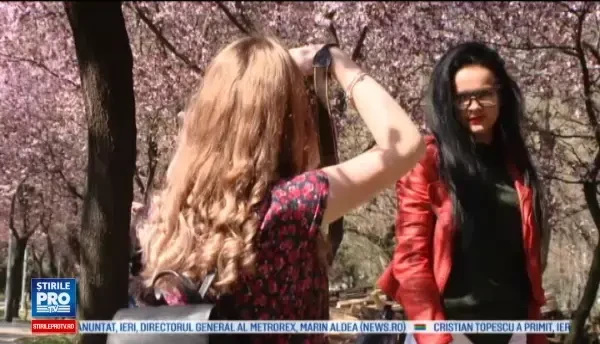 Tunelul Iubirii din Timisoara. Locul unde zeci de cupluri se strang pentru a face poze de Facebook in aceasta primavara