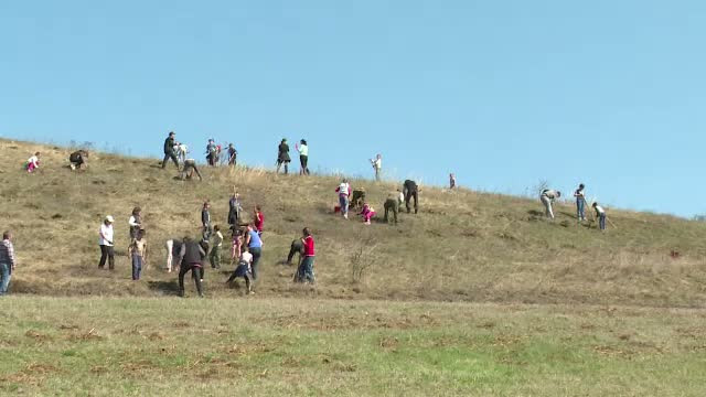 Zece mii de copii din cinci judete dau o lectie ce ar trebui invatata de noi toti. Au plantat copaci pe hectare intregi