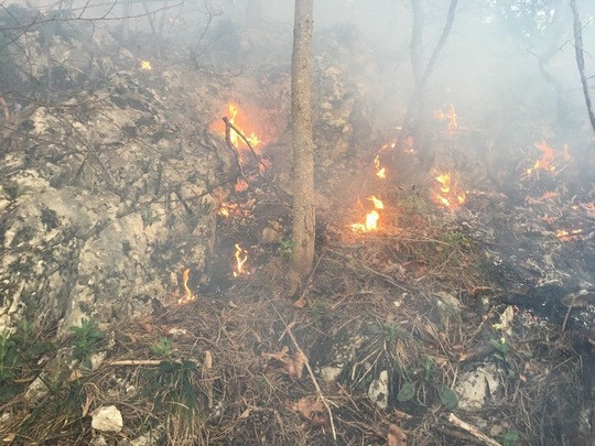100 de hectare de pasune din Harghita, cuprinse de flacari. Incendiu de vegetatie si pe muntele Tampa, la Brasov
