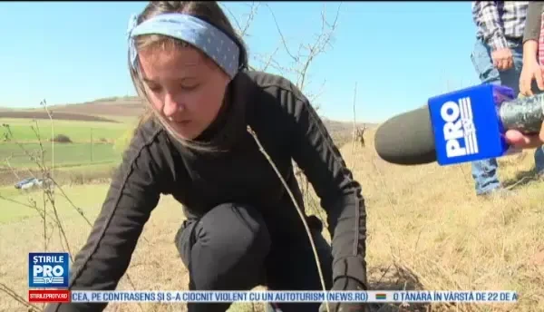 Zece mii de copii din cinci judete dau o lectie ce ar trebui invatata de noi toti. Au plantat copaci pe hectare intregi