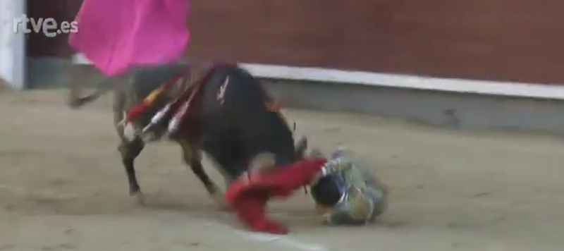 Scene dramatice pe o arena din Madrid. Un toreador este aruncat in aer de taur, apoi strapuns cu coarnele in gat. VIDEO