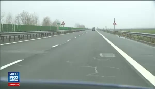 Exista sau nu ursi in Timis? Conflictul dintre activistii de mediu si Guvern care blocheaza o autostrada