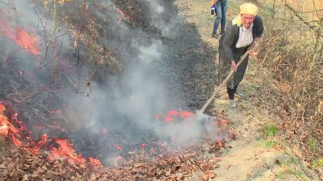 Inconstienta cu pagube uriase. Patru hectare de padure au ars dupa ce un barbat din Bistrita-Nasaud a dat foc vegetatiei