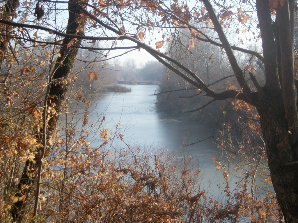 Locul din Romania unde apa alcalina carbogazoasa este “francofona”. Are acelasi proprietati ca faimoasa Vichy-Celentines