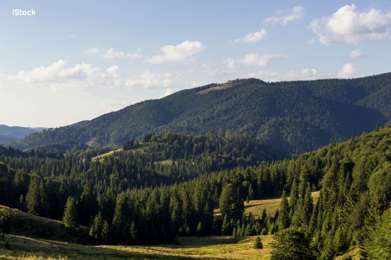 Bihor