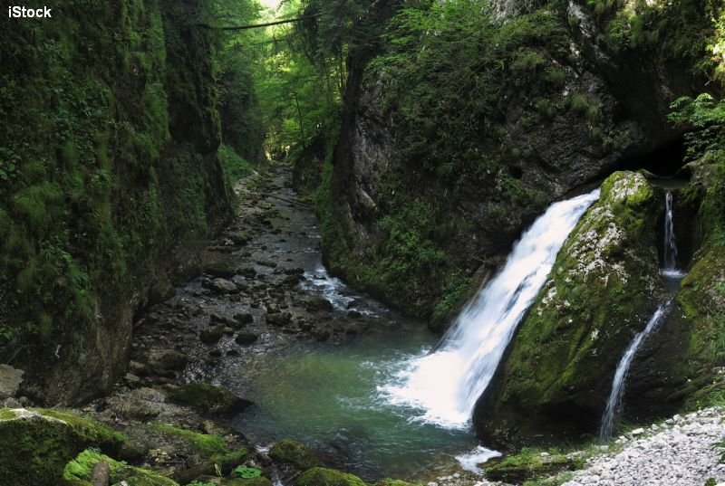 Bihor