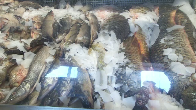 90% din pestele pe care il consumam provine din export. Romanii prefera fructele de mare sau dorada